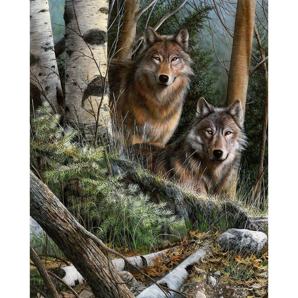 Watchful Eyes Poster Print - Kevin Daniel-VARPDXDAN283 Image 1