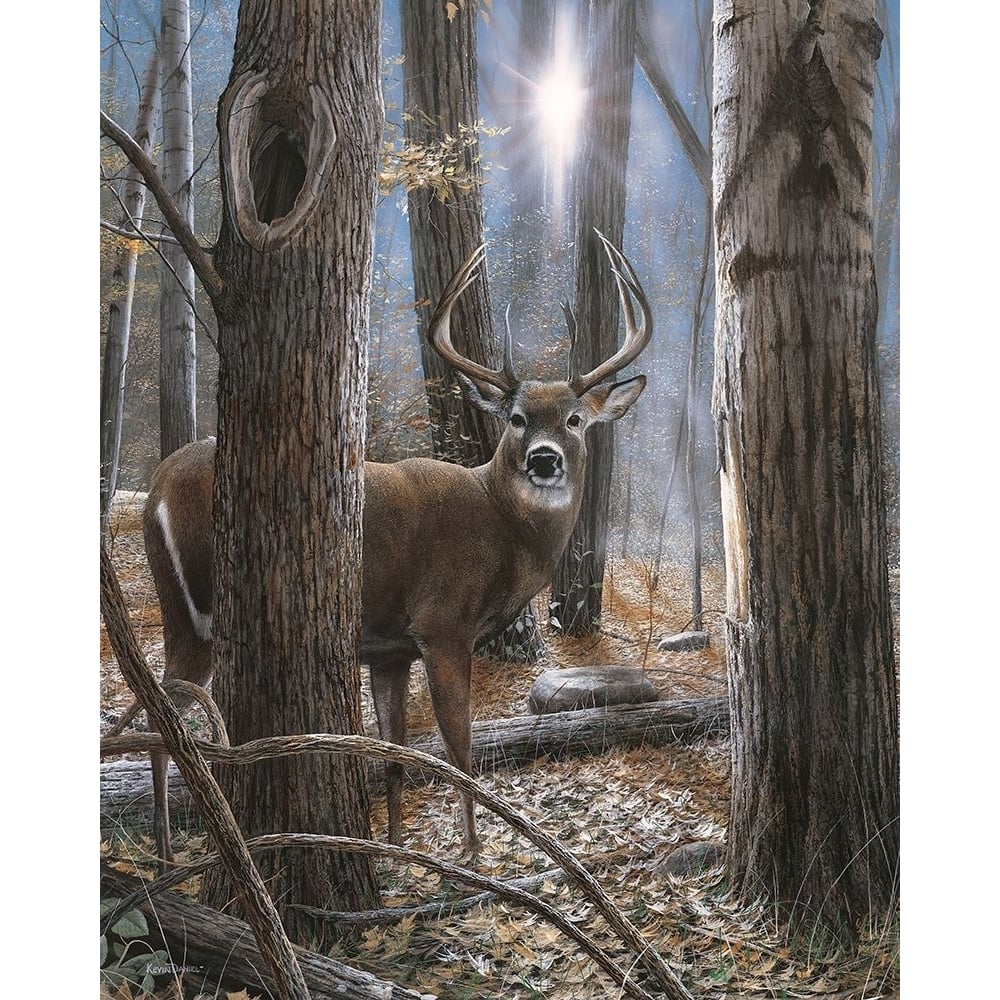 Woodland Sentry Buck Poster Print - Kevin Daniel-VARPDXDAN277 Image 1