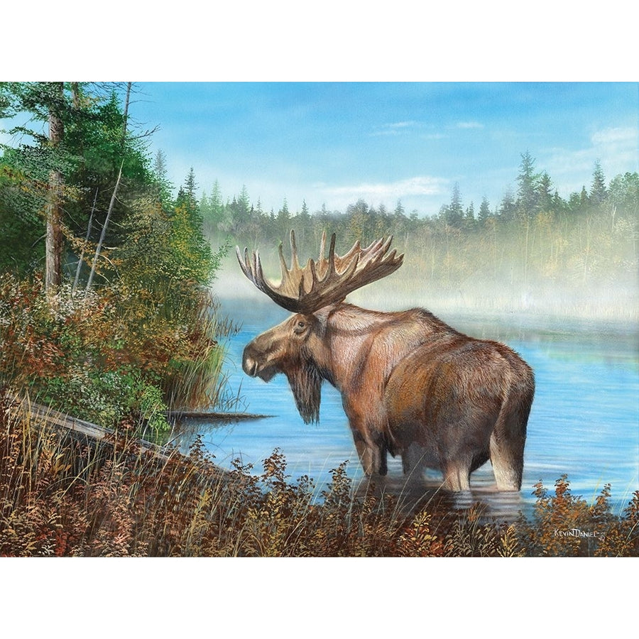 Solo Moose Poster Print - Kevin Daniel-VARPDXDAN375 Image 1