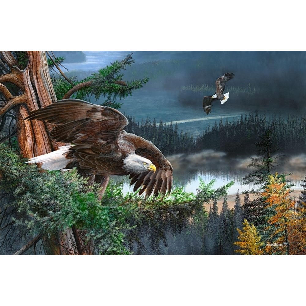 Wings Of Freedom Poster Print - Kevin Daniel-VARPDXDAN321 Image 1