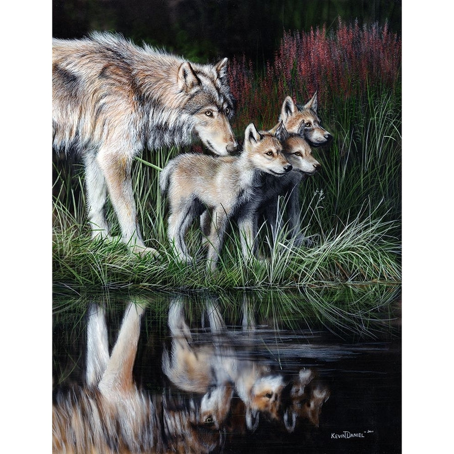 Reflections Poster Print - Kevin Daniel-VARPDXDAN446 Image 1