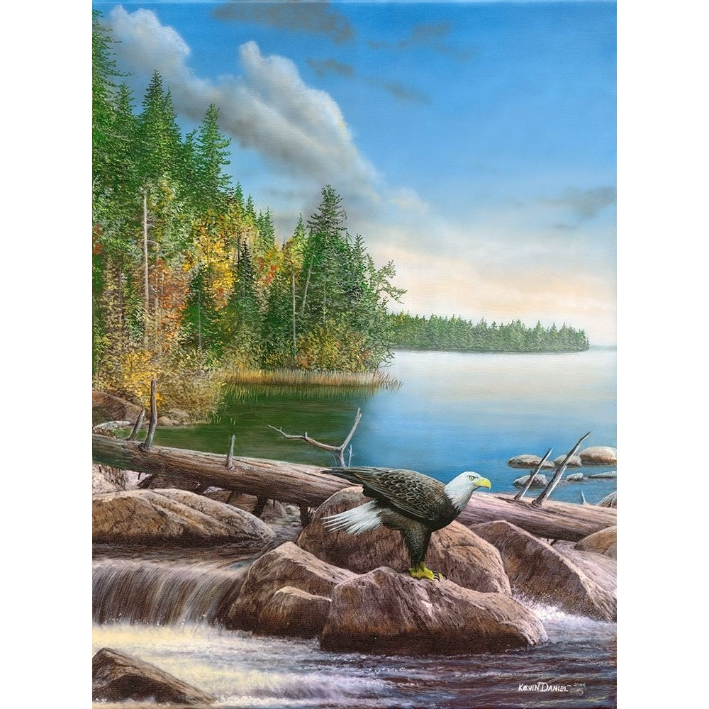 Eagle Rivers Edge Poster Print - Kevin Daniel-VARPDXDAN411 Image 1