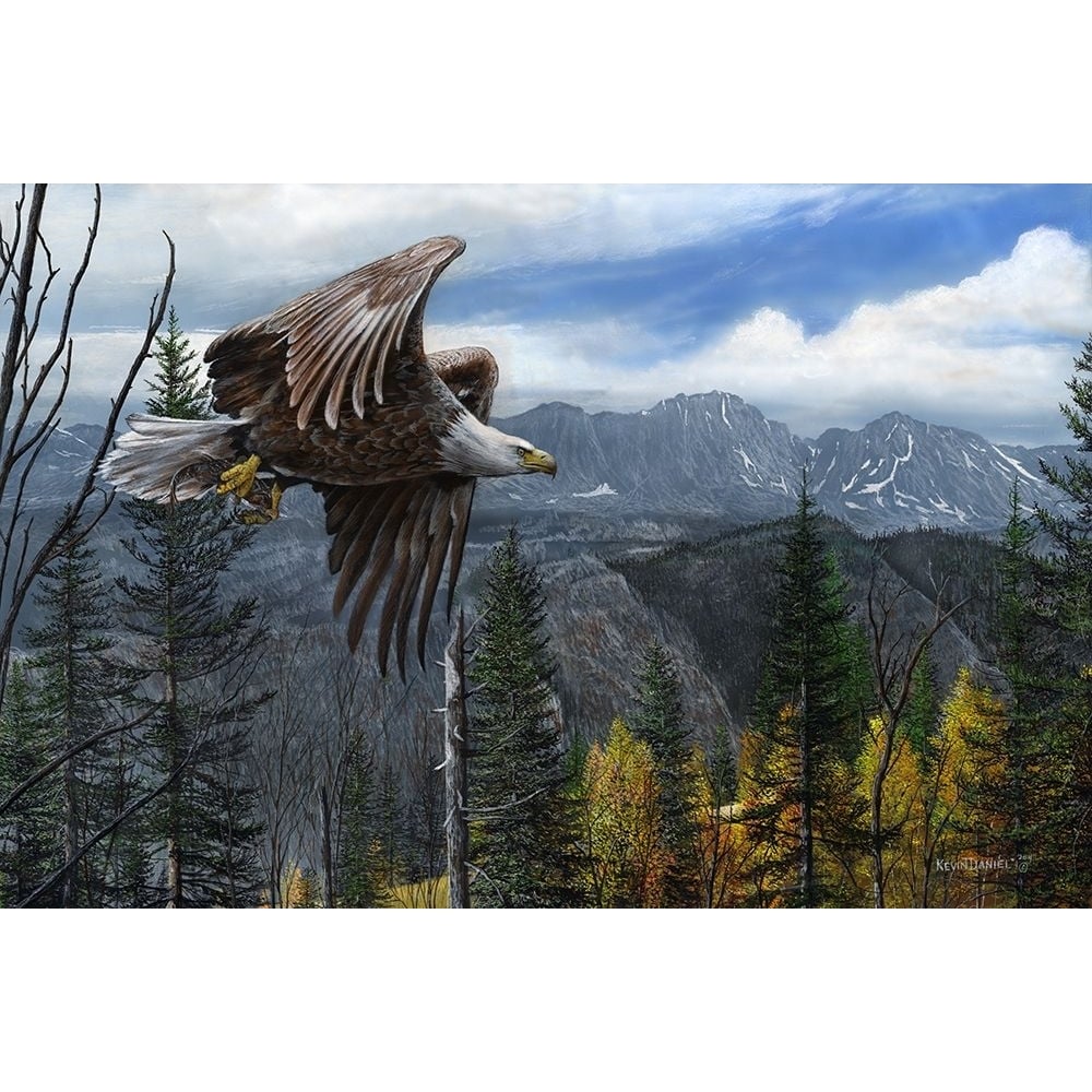 May Freedom Forever Fly Poster Print - Kevin Daniel-VARPDXDAN443 Image 1