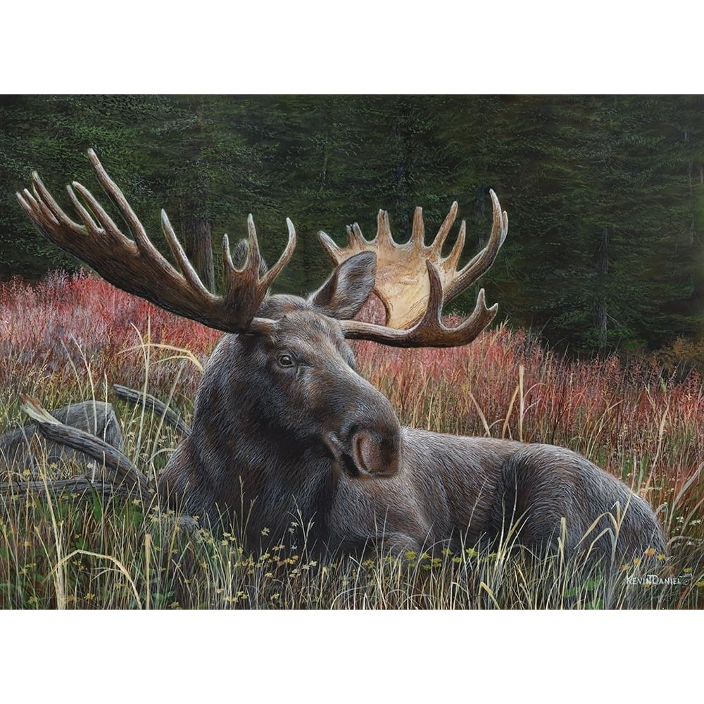 Moose Poster Print - Kevin Daniel-VARPDXDAN488 Image 1