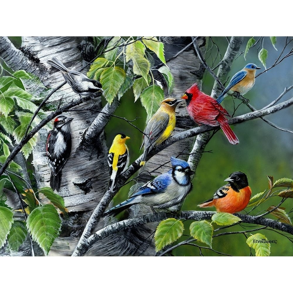 Wild Birds Poster Print - Kevin Daniel-VARPDXDAN506 Image 1