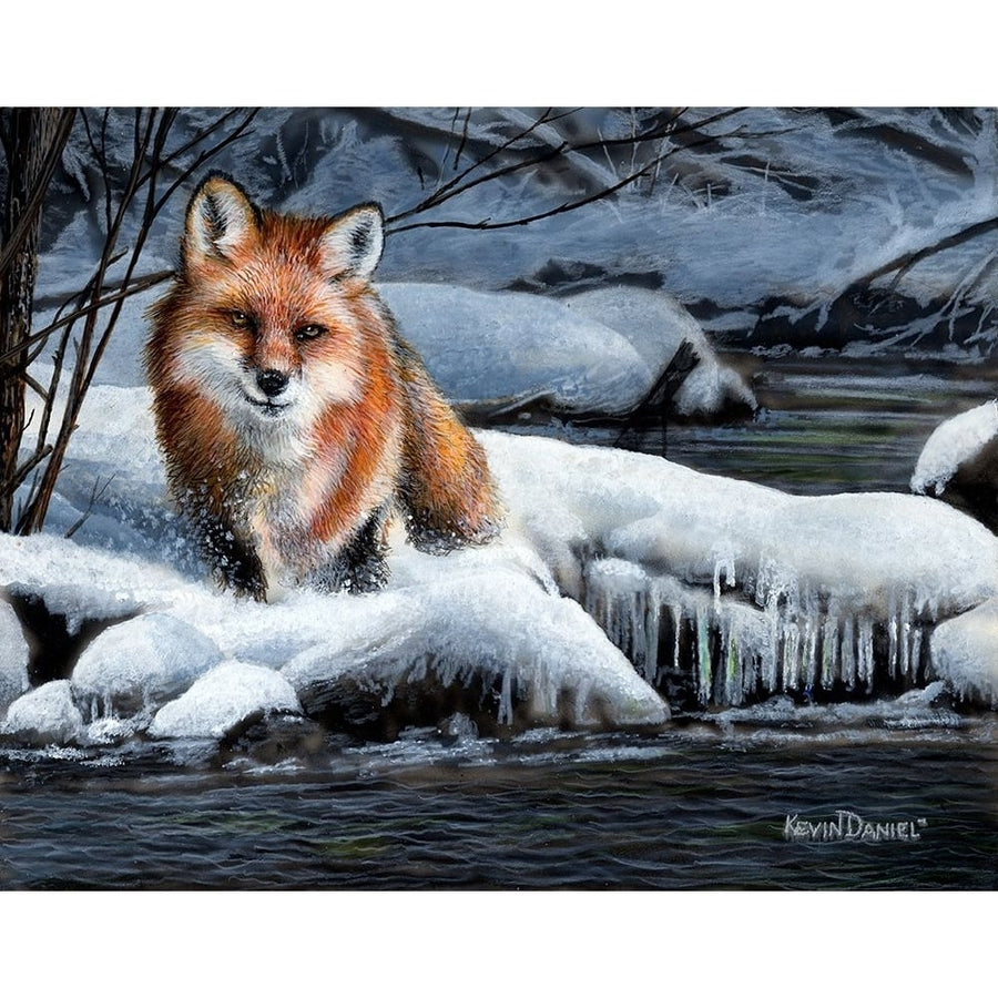 Snow Fox Poster Print - Kevin Daniel-VARPDXDAN524 Image 1