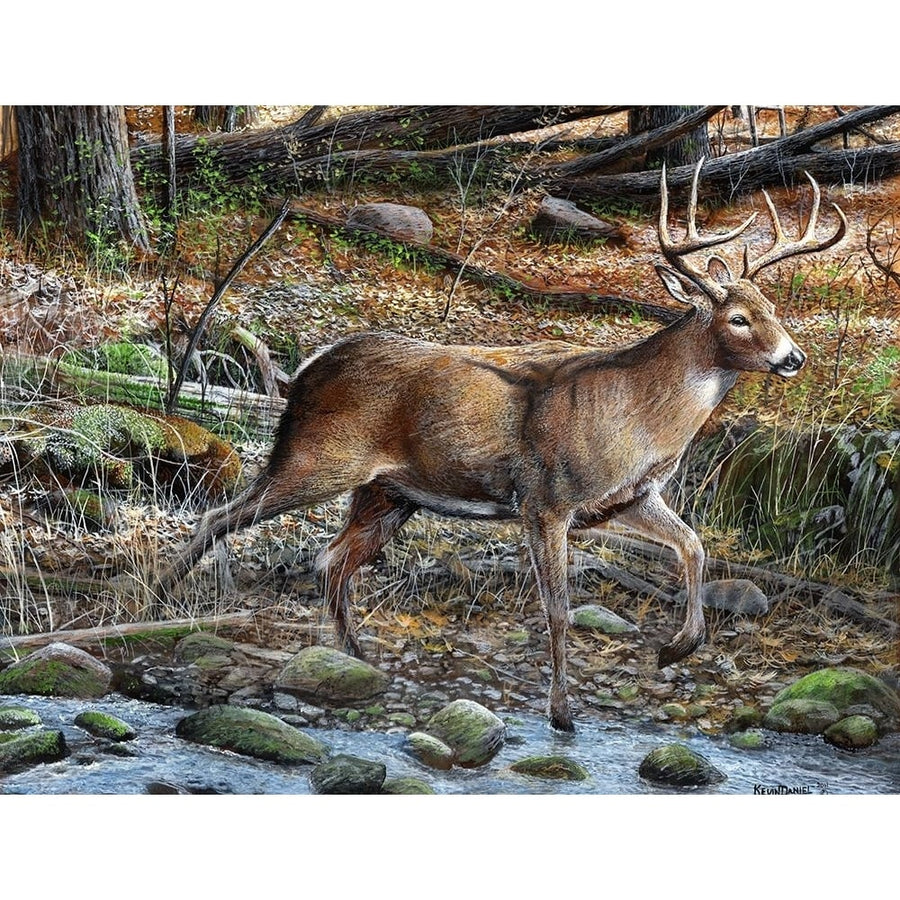 Prancing Deer Poster Print - Kevin Daniel-VARPDXDAN538 Image 1