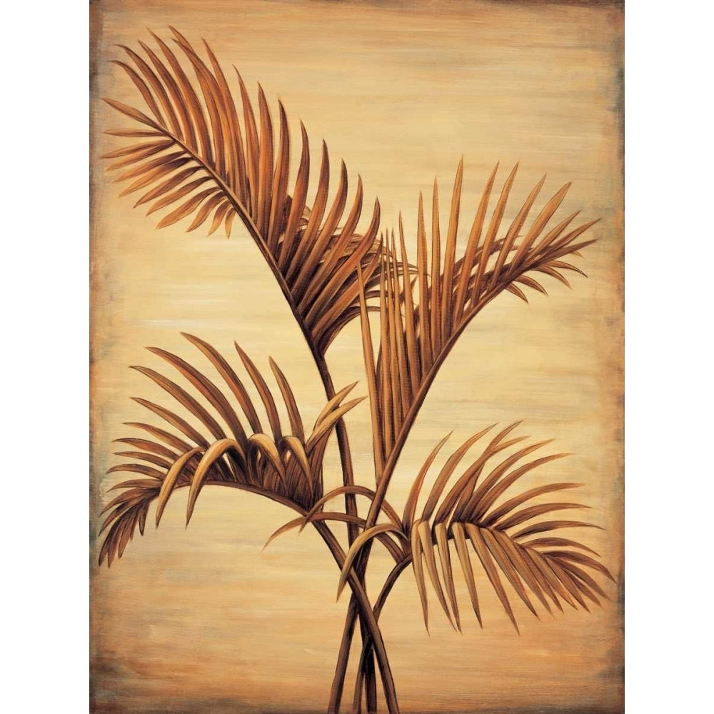 Treasured Palm I Poster Print by David Parks-VARPDXDAP5363 Image 1