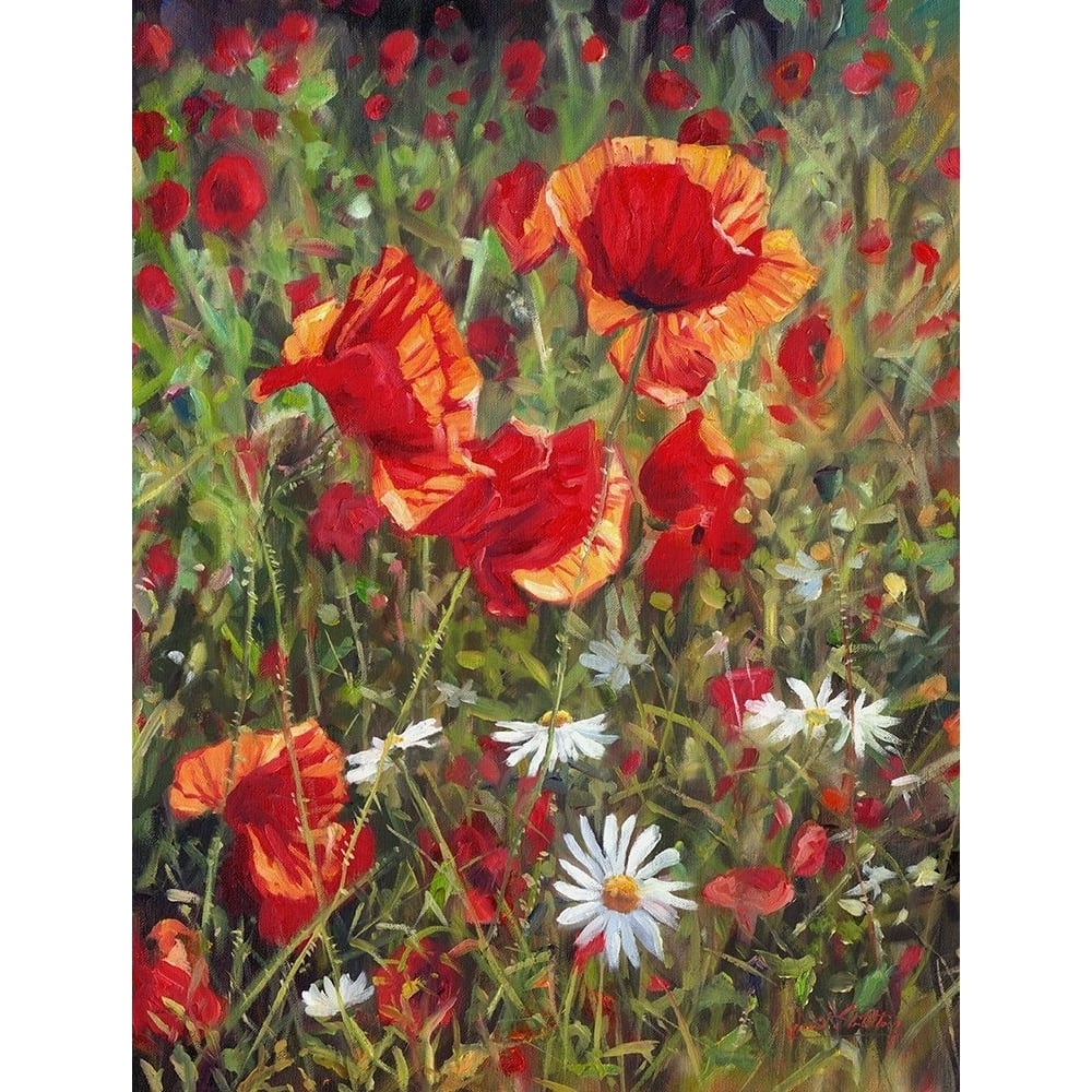 Poppies Poster Print - David Stribbling-VARPDXDAVSTR125655 Image 1