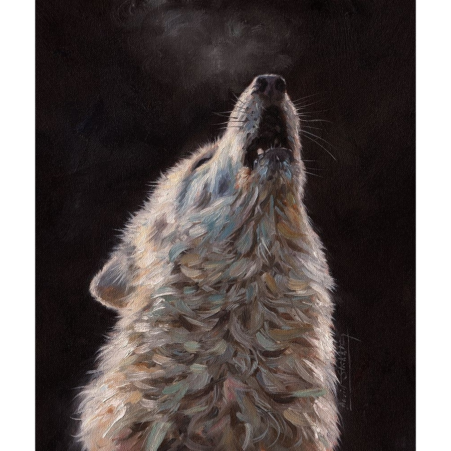 white wolf Poster Print - David Stribbling-VARPDXDAVSTR125741 Image 1