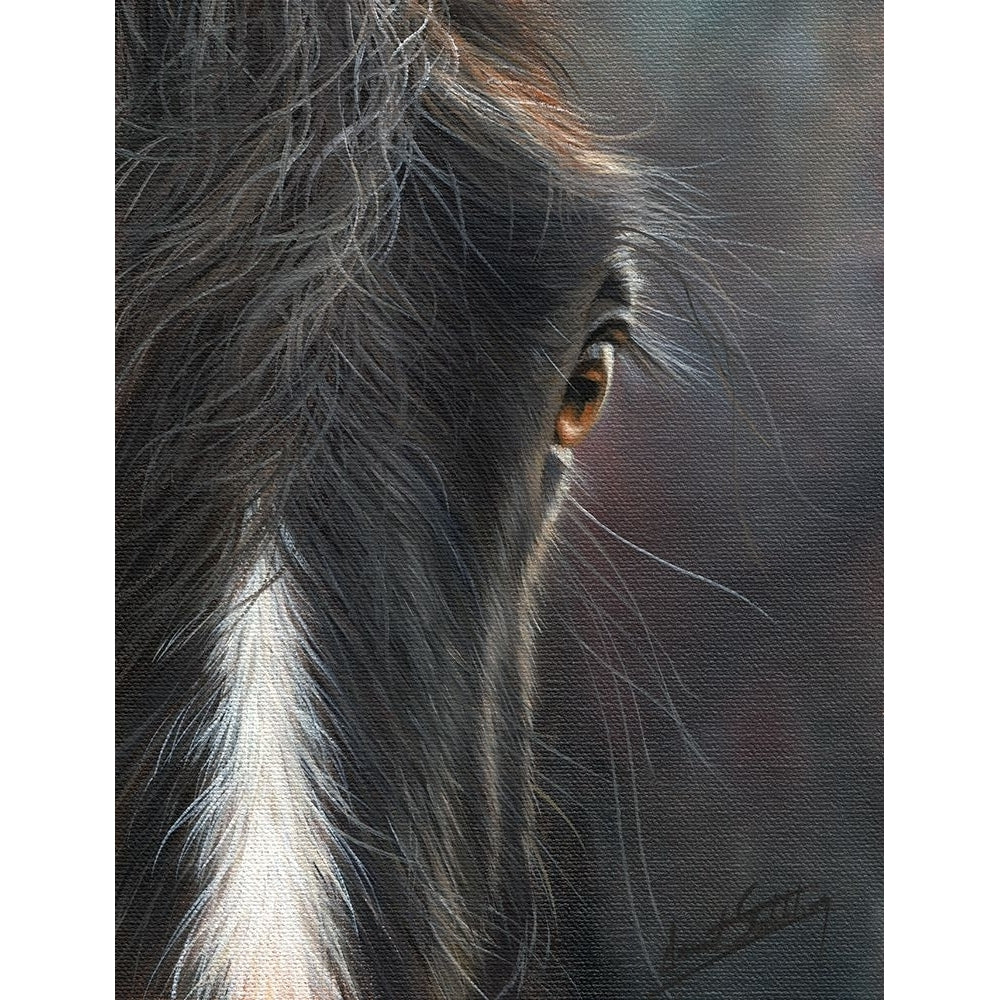 horse portrait Poster Print - David Stribbling-VARPDXDAVSTR125829 Image 1