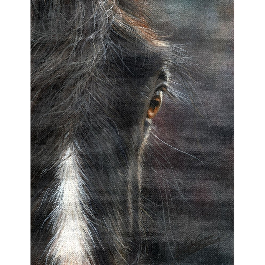 horse portrait Poster Print - David Stribbling-VARPDXDAVSTR125829 Image 1