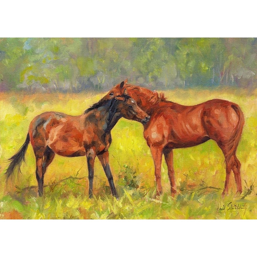 Horse Love Poster Print - David Stribbling-VARPDXDAVSTR125854 Image 1