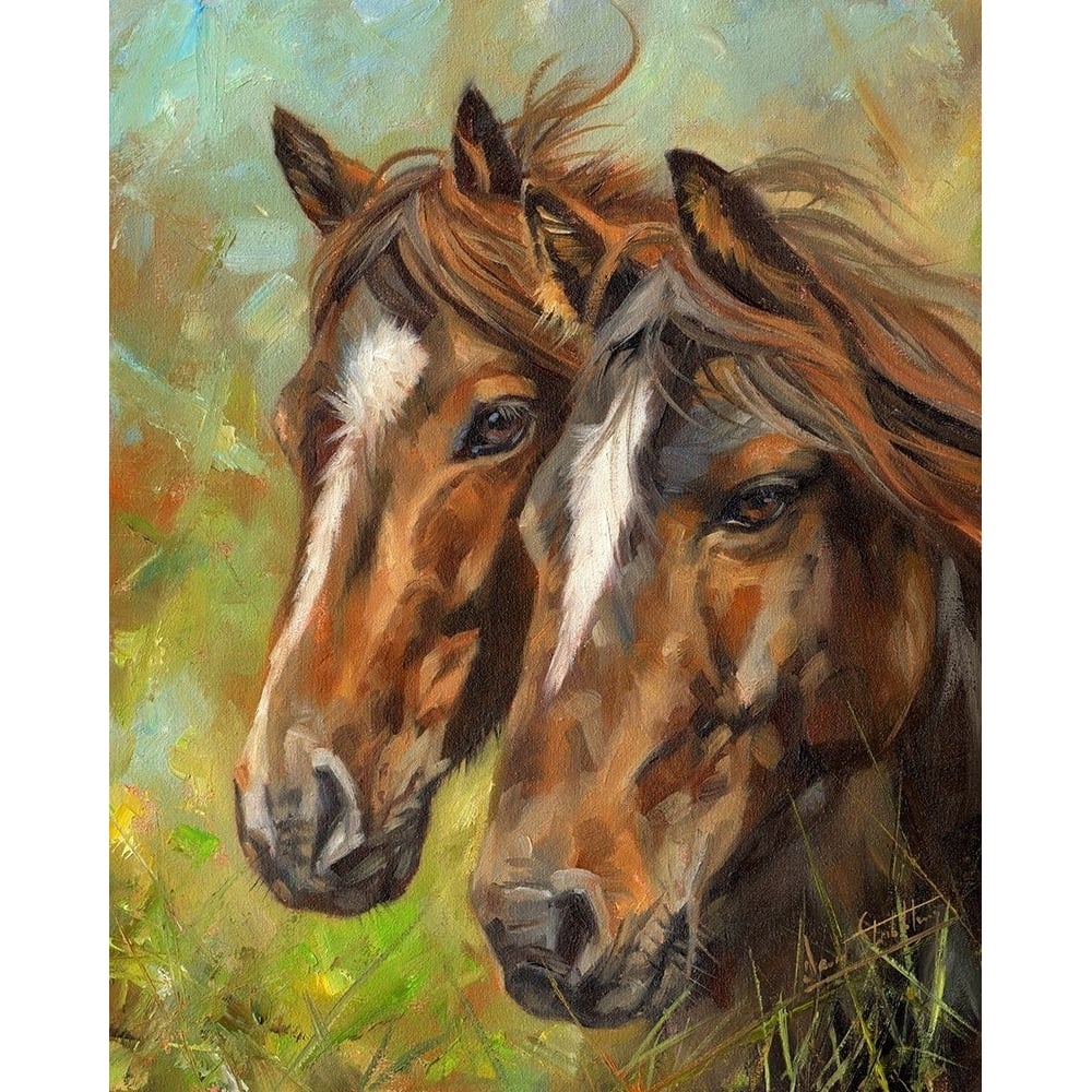 Horses Poster Print - David Stribbling-VARPDXDAVSTR125936 Image 1