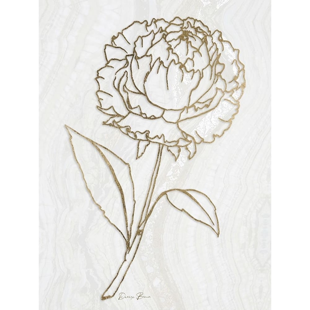 Golden Peony 1 Poster Print - Denise Brown-VARPDXDBRC113A Image 1