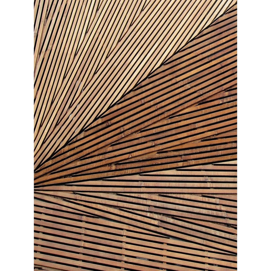 Geometric Wood Panel 1 Poster Print - Denise Brown-VARPDXDBRC197A Image 1