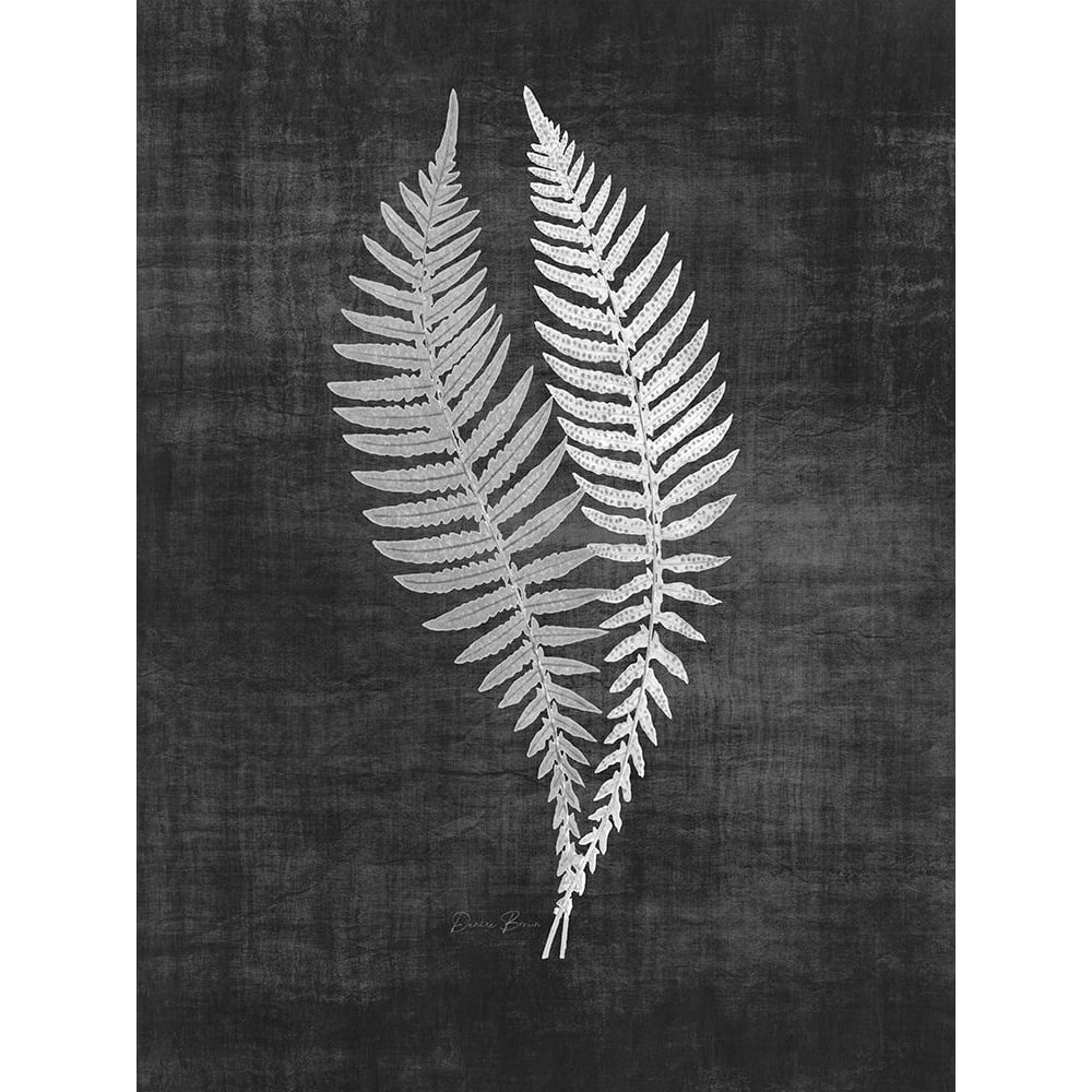 Astor Fern 2 Poster Print - Denise Brown-VARPDXDBRC204B Image 1