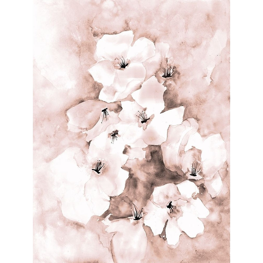 Soft Florals 1 by Doris Charest-VARPDXDCRC121A Image 1