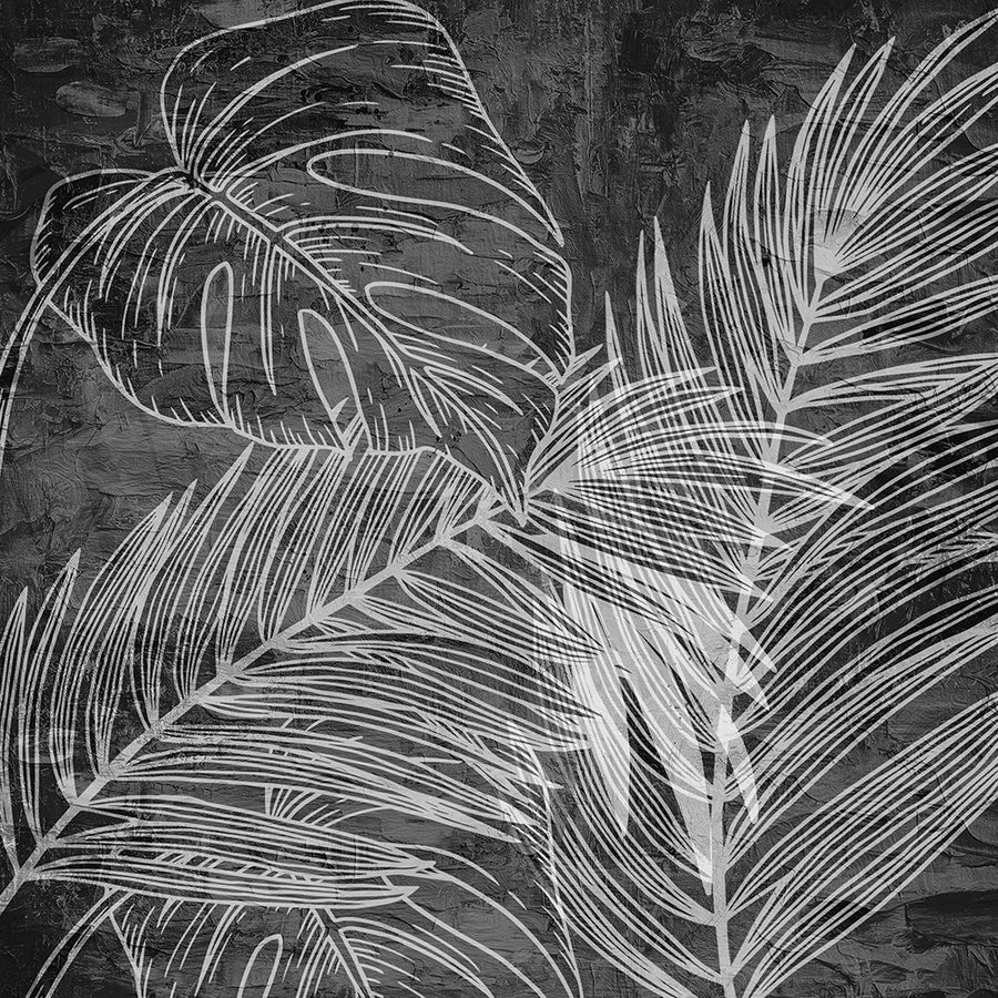 Black And White Palm 2 Poster Print - Kimberly Allen-VARPDXKASQ3110B Image 1