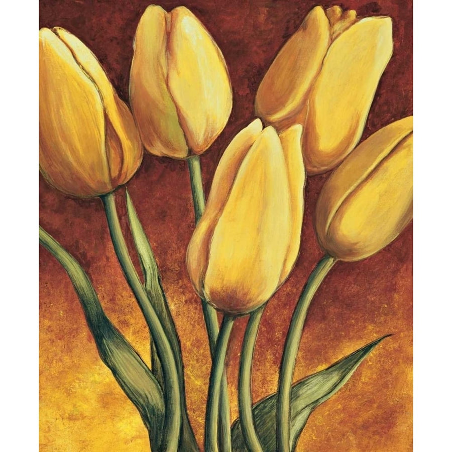 Tulpen Poster Print by Karin Becker-VARPDXKB4122 Image 1