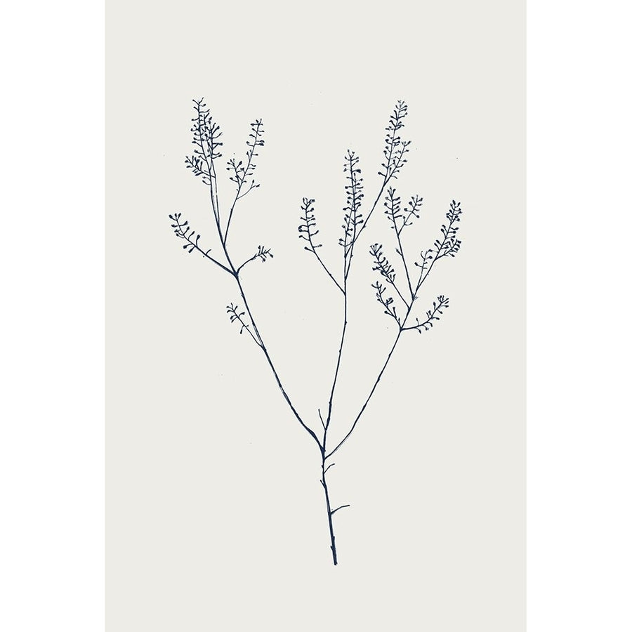 Graceful Day I Poster Print - B Flora-VARPDXKD014A Image 1