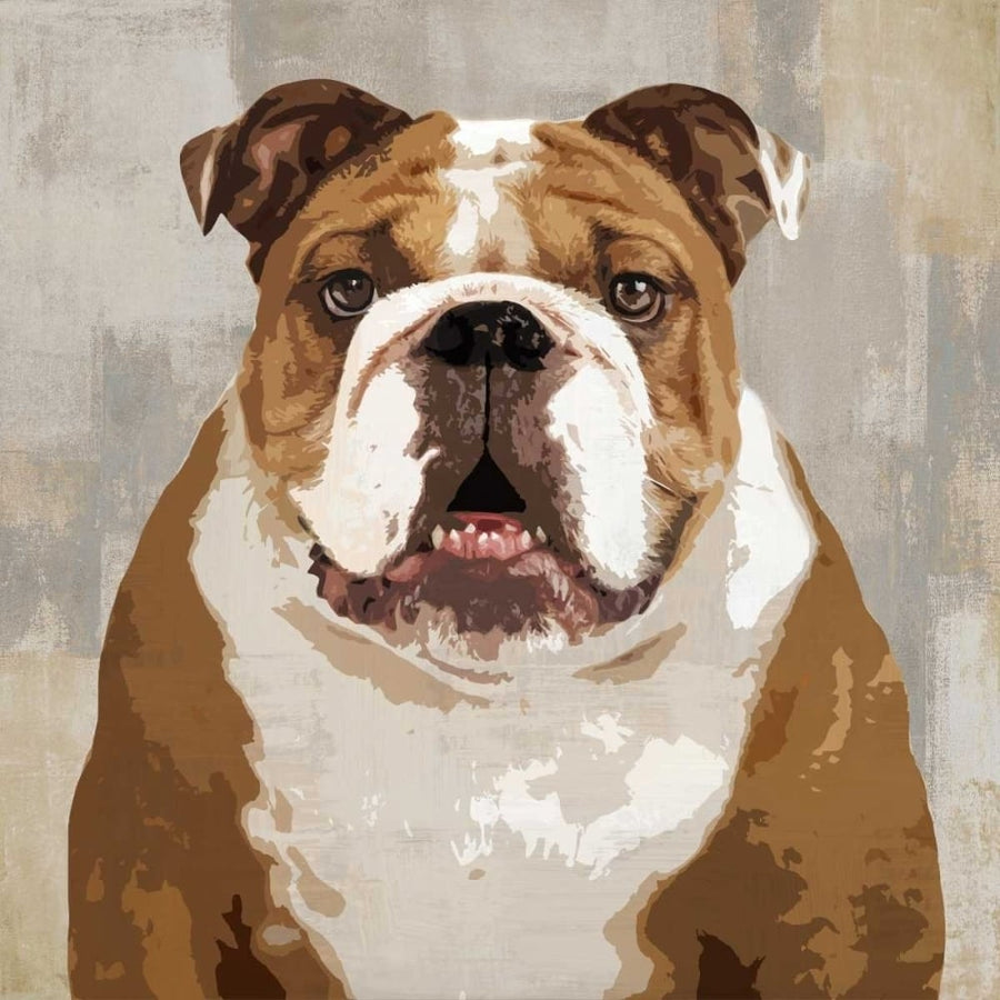 Bulldog Poster Print by Keri Rodgers-VARPDXKG114632 Image 1