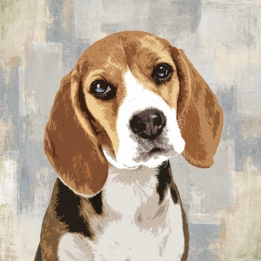 Beagle Poster Print by Keri Rodgers-VARPDXKG114630 Image 1