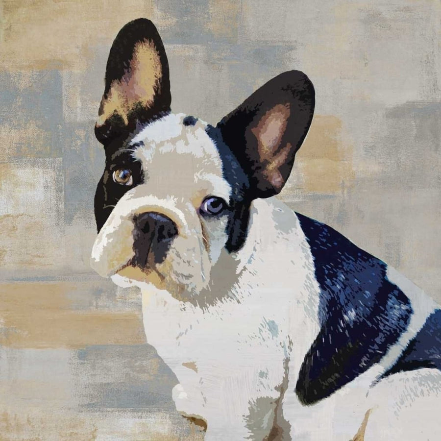 French Bulldog Poster Print by Keri Rodgers-VARPDXKG114634 Image 1