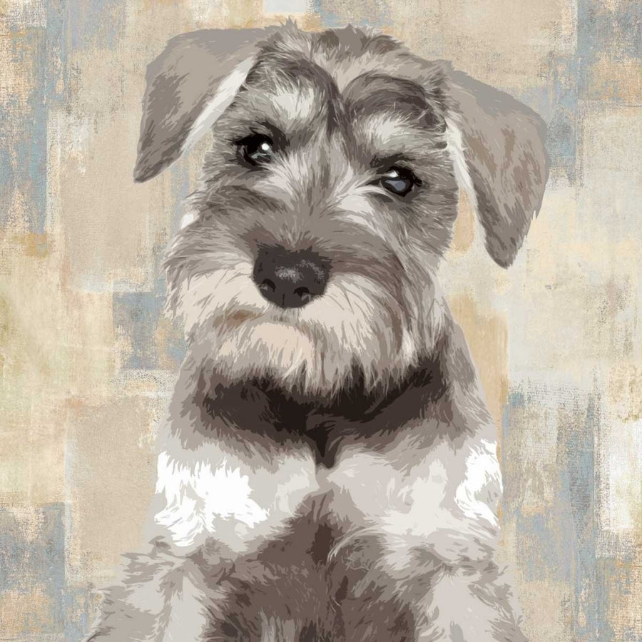 Miniature Schnauser Poster Print by Keri Rodgers-VARPDXKG114638 Image 1