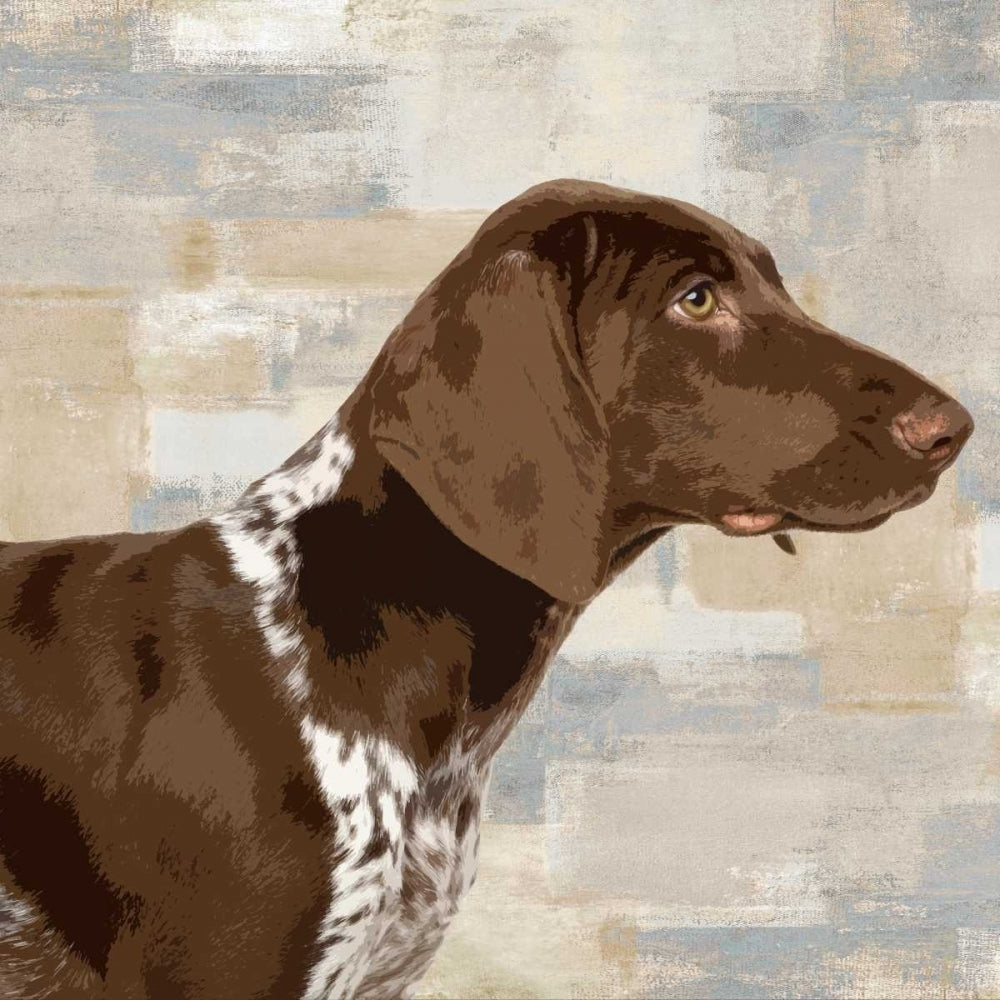 Pointer Poster Print by Keri Rodgers-VARPDXKG114640 Image 1