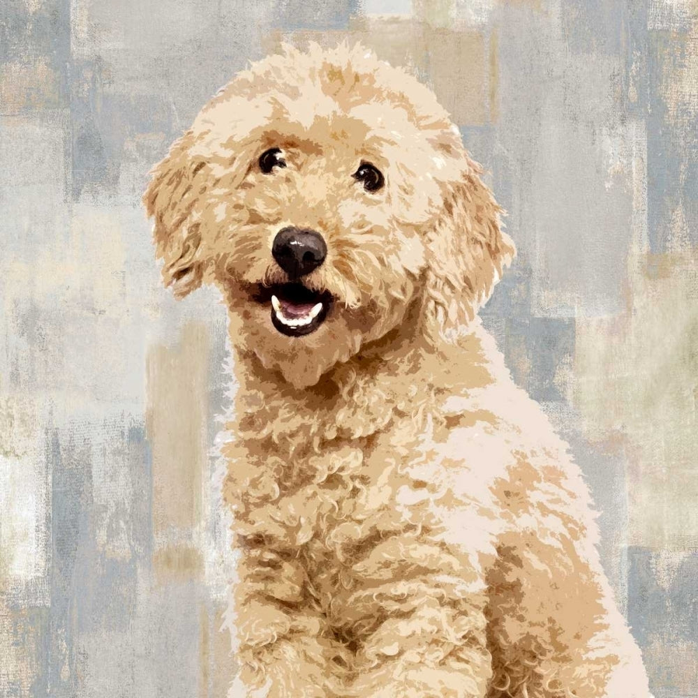 Poodle Poster Print by Keri Rodgers-VARPDXKG114641 Image 1