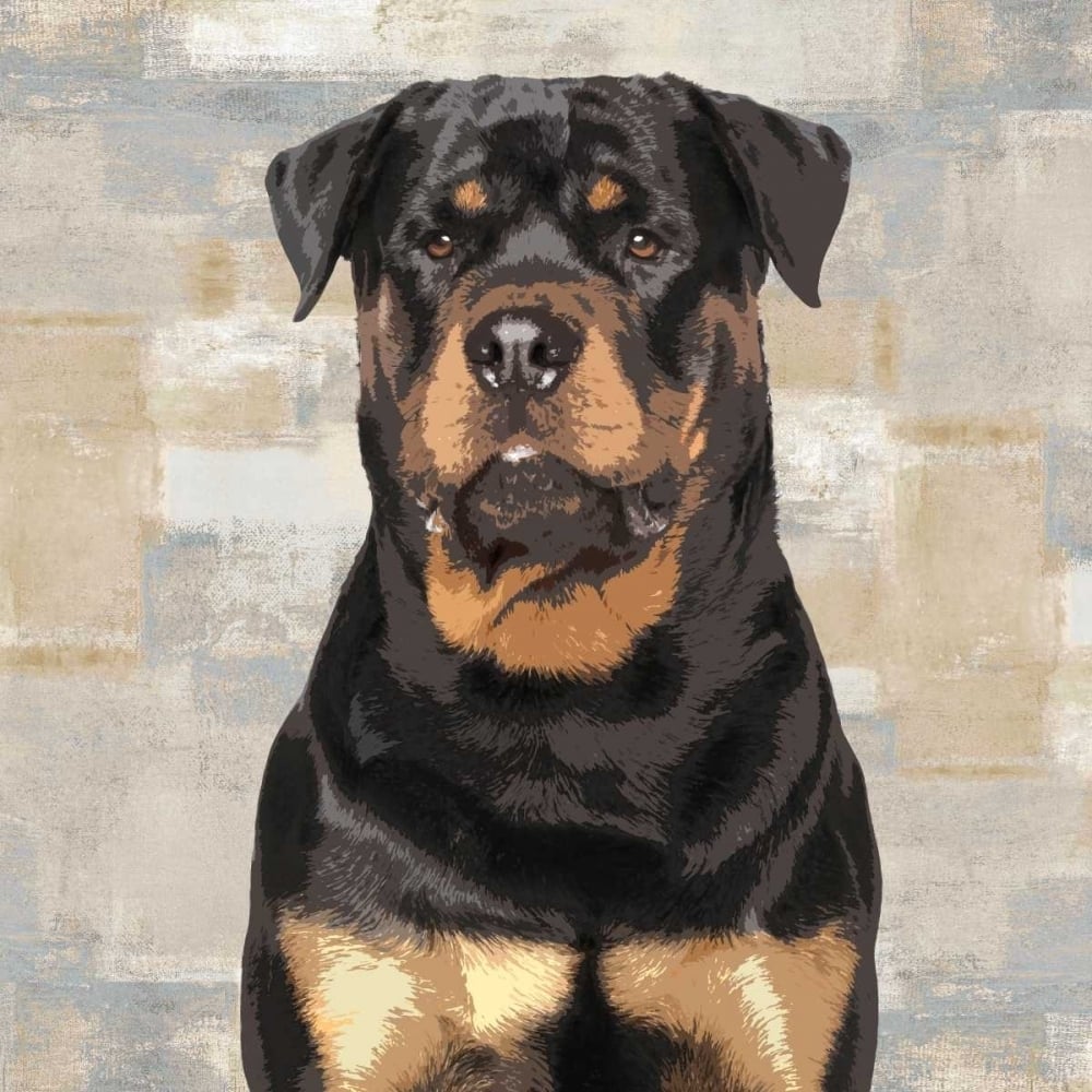 Rottweiler Poster Print by Keri Rodgers-VARPDXKG114643 Image 1