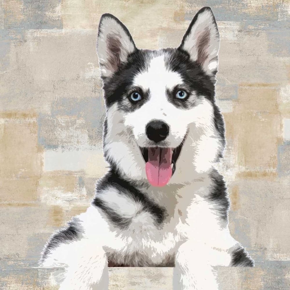 Siberian Husky Poster Print by Keri Rodgers-VARPDXKG114644 Image 1