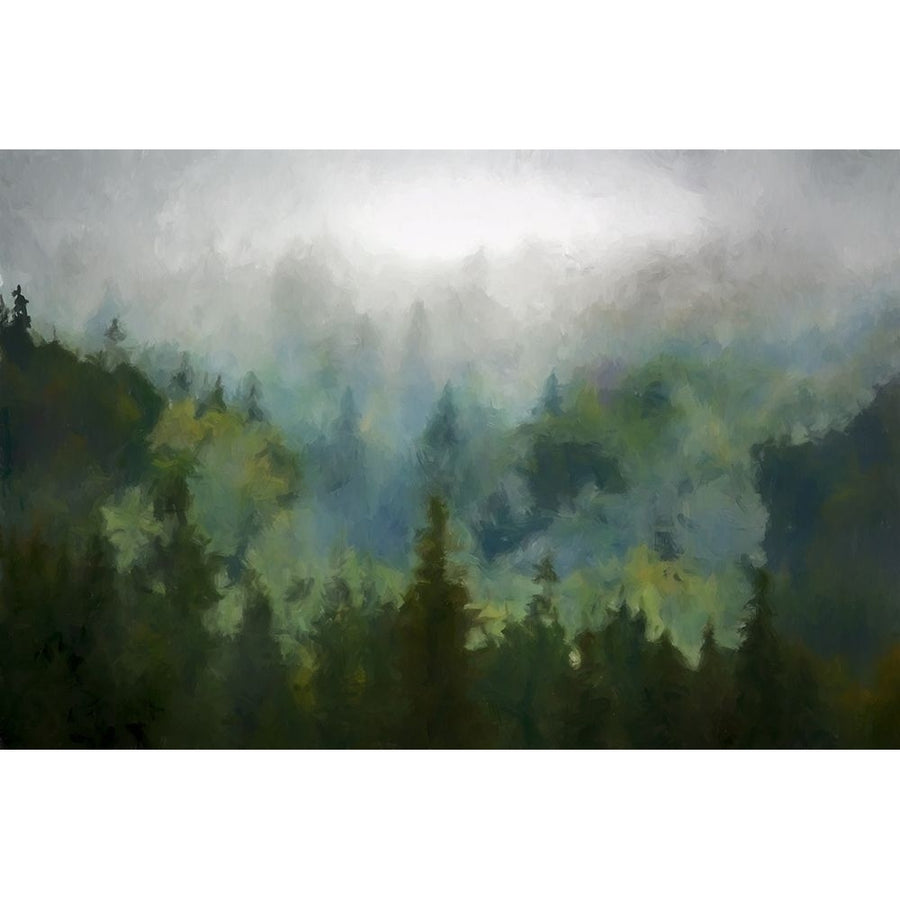 Misty Woods__ by Kim Curinga-VARPDXKJ059A Image 1