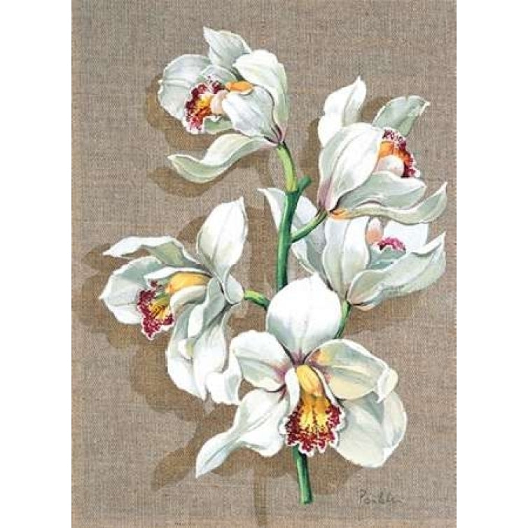 Pretty floral I Poster Print by Krysztov Kumorek-VARPDXKK200001 Image 1