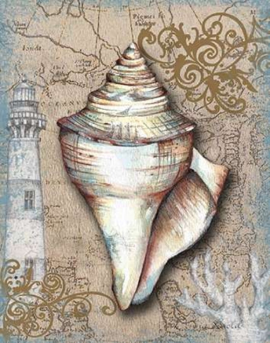 Nautical Treasures I Poster Print by Donna Knold-VARPDXKLD032 Image 1