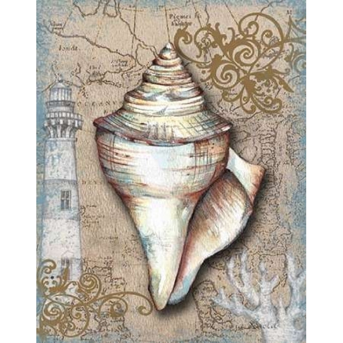 Nautical Treasures I Poster Print by Donna Knold-VARPDXKLD032 Image 2