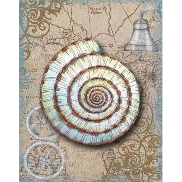 Nautical Treasures IV Poster Print by Donna Knold-VARPDXKLD035 Image 2