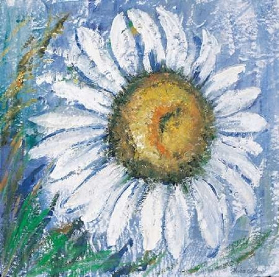 Oxeye daisy Poster Print by Katharina Schottler-VARPDXKS032 Image 1