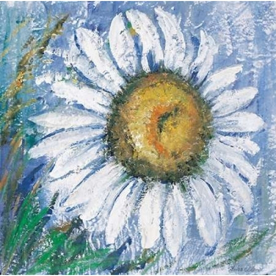 Oxeye daisy Poster Print by Katharina Schottler-VARPDXKS032 Image 2