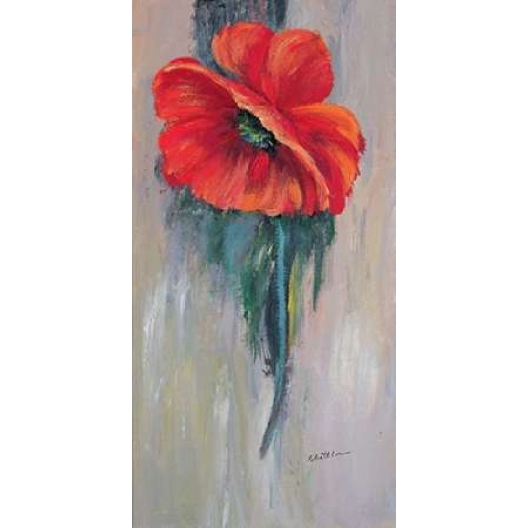 Red poppy III Poster Print by Katharina Schottler-VARPDXKS051 Image 2