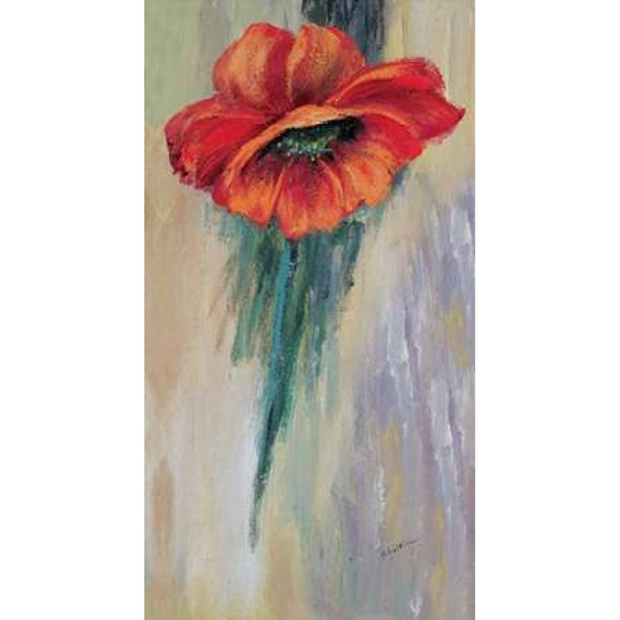 Red poppy I Poster Print by Katharina Schottler-VARPDXKS049 Image 1