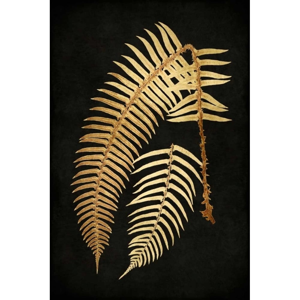 Golden Nature I Poster Print by Kate Bennett-VARPDXKTB111628DG Image 1