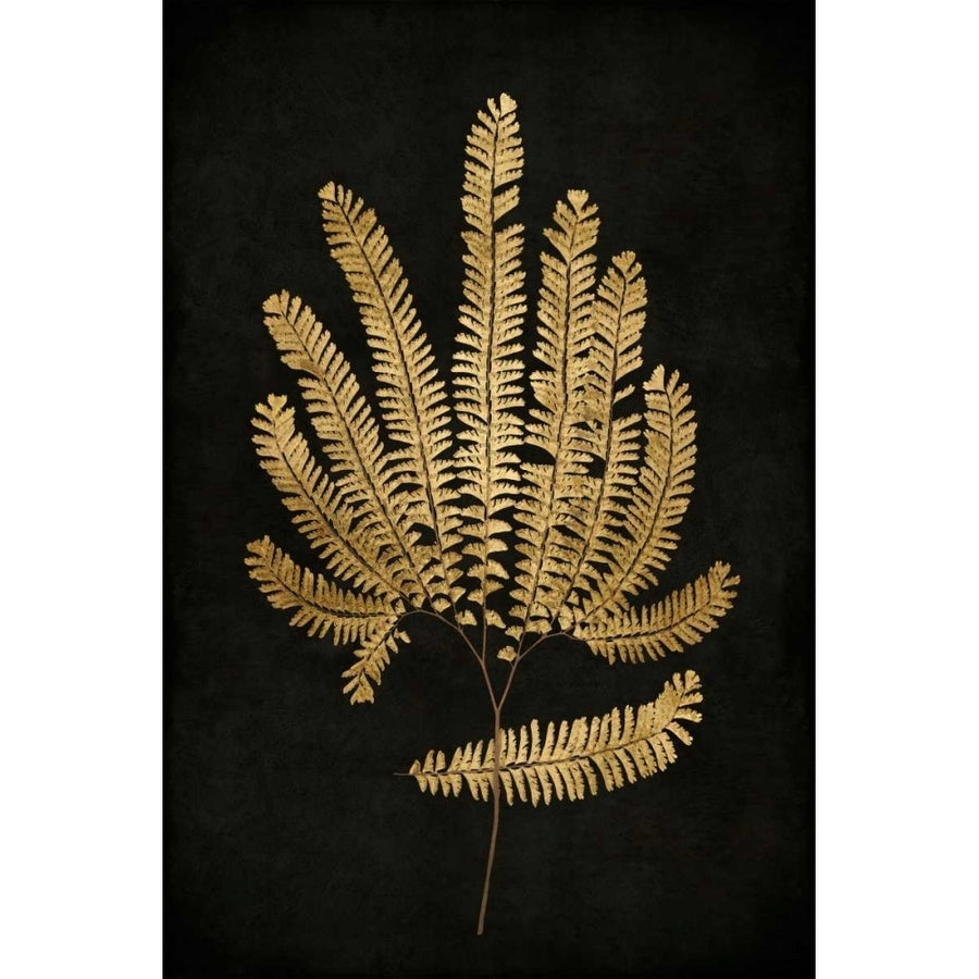 Golden Nature II Poster Print by Kate Bennett-VARPDXKTB111629DG Image 1