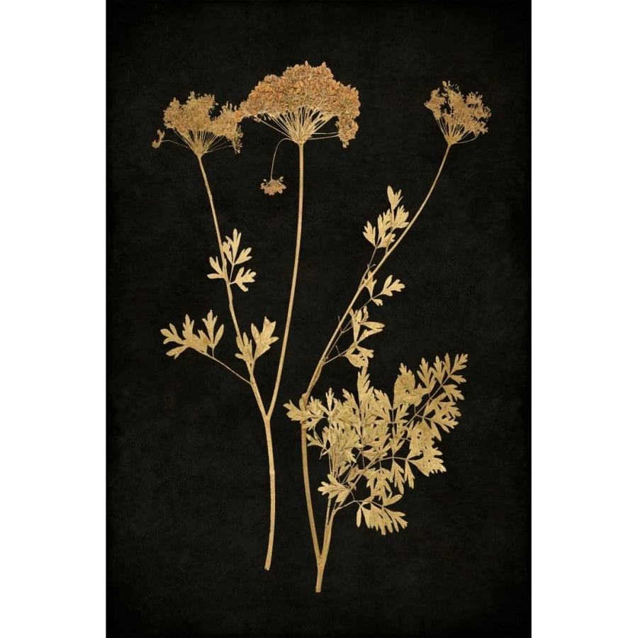 Golden Nature III Poster Print by Kate Bennett-VARPDXKTB111630DG Image 1