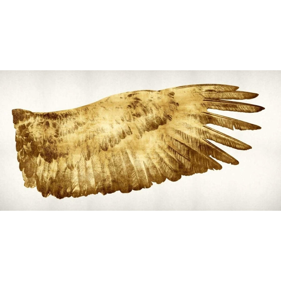 Golden Wing II Poster Print by Kate Bennett-VARPDXKTB111511DG Image 1