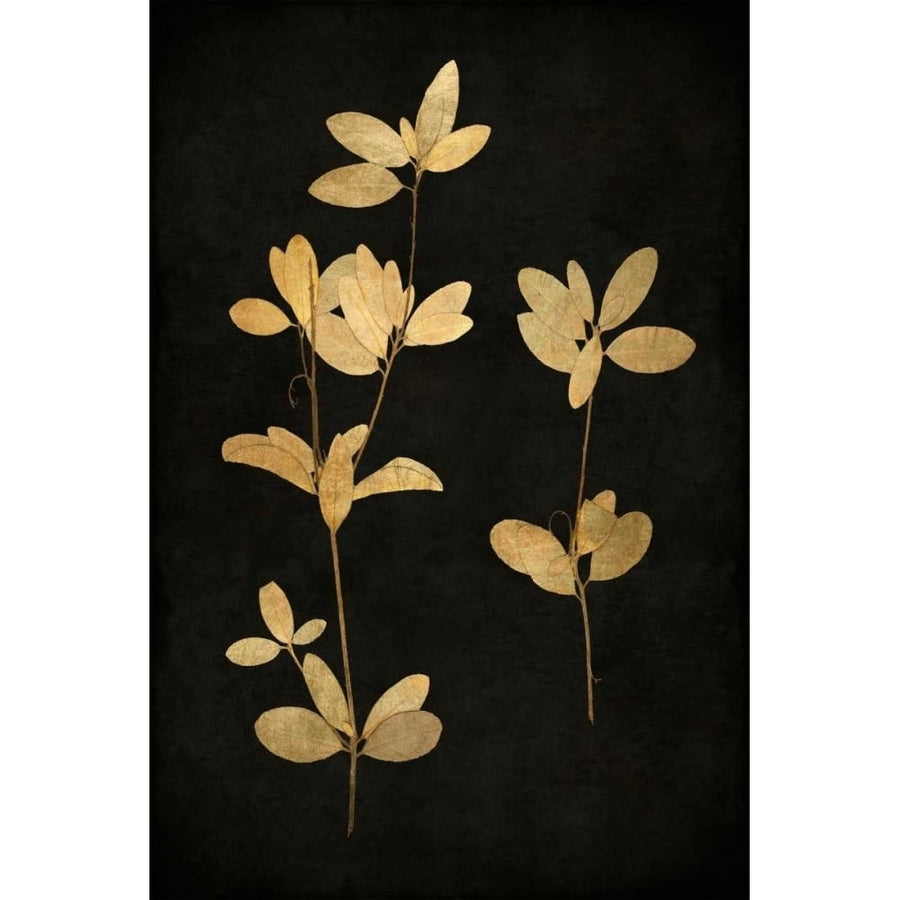 Golden Nature IV Poster Print by Kate Bennett-VARPDXKTB111631DG Image 1