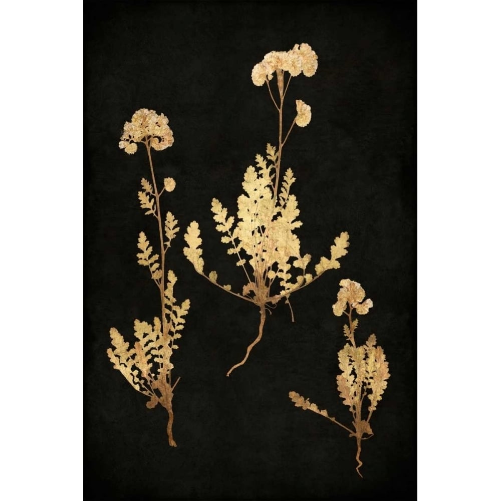 Golden Nature V Poster Print by Kate Bennett-VARPDXKTB111632DG Image 1