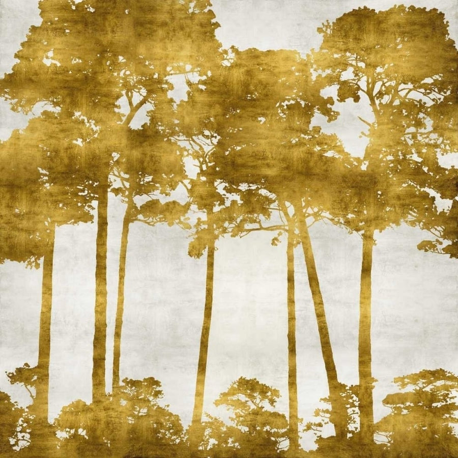 Tree Lined In Gold II Poster Print by Kate Bennett-VARPDXKTB111784DG Image 1