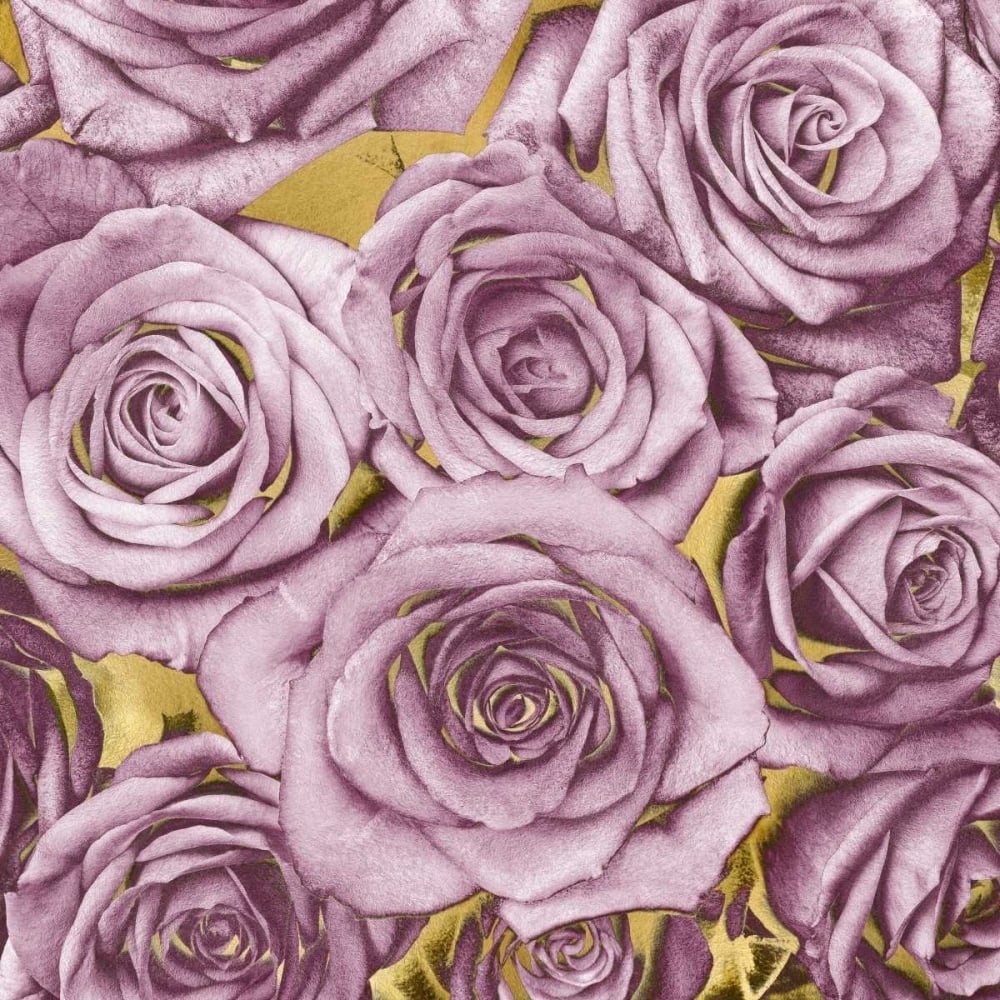 Roses - Amethyst on Gold Poster Print by Kate Bennett-VARPDXKTB113450 Image 1